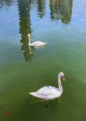 Two swans and towers mirrored in summer river 